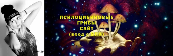 2c-b Алзамай