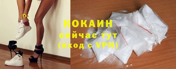 твердый Алексин