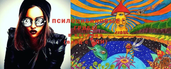 дурь Алексеевка