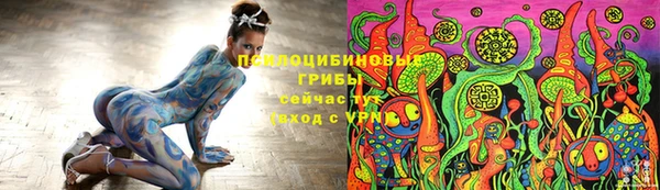 дурь Алексеевка