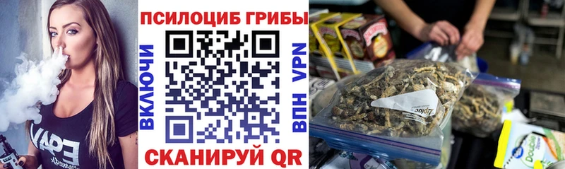 Псилоцибиновые грибы мицелий  Аргун 